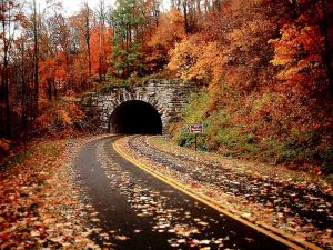 fall_tunnel